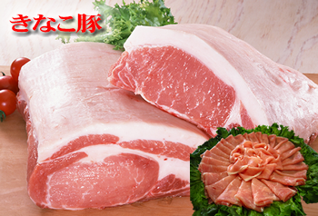 �y�V�s��y�Ђނ��H�[�z���Ȃ���