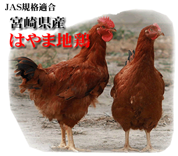 �y�V�s��y�Ђނ��H�[�z�{��n�{�E�͂�ܒn�{