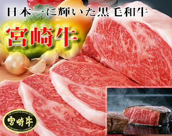 �y�V�s��y�Ђނ��H�[�z�{�苍