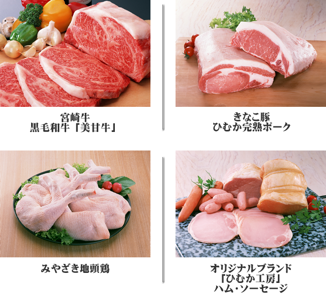 Okazaki Food������ЋƖ��p�̔��E�ƎҊԎ��